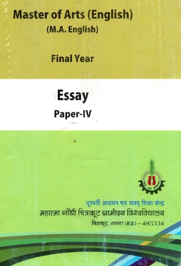 Essay