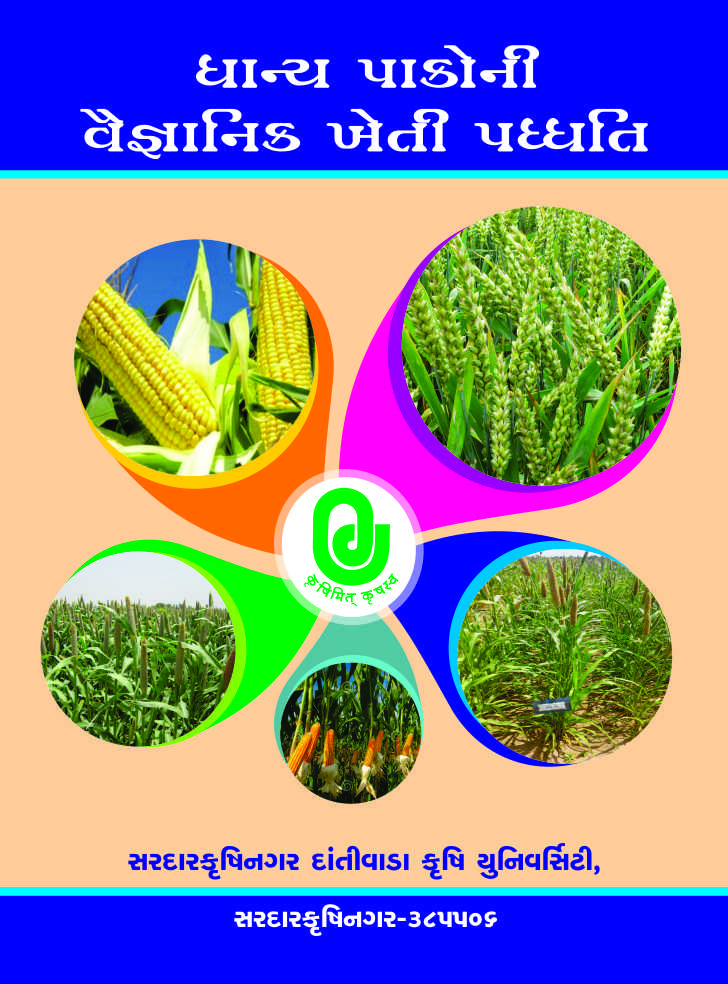 ધાન્ય પાકોની વૈજ્ઞાનિક ખેતી પધ્ધતિ | Dhanya Pakoni Vaijnanika Kheti Padhdhati